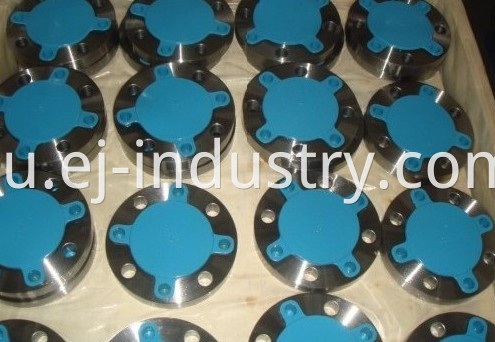 Forging Thread Flange